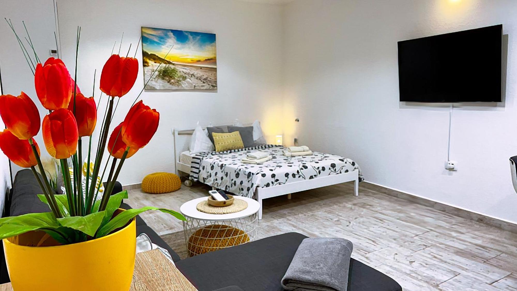Studio De Mare Rovinj Exteriér fotografie